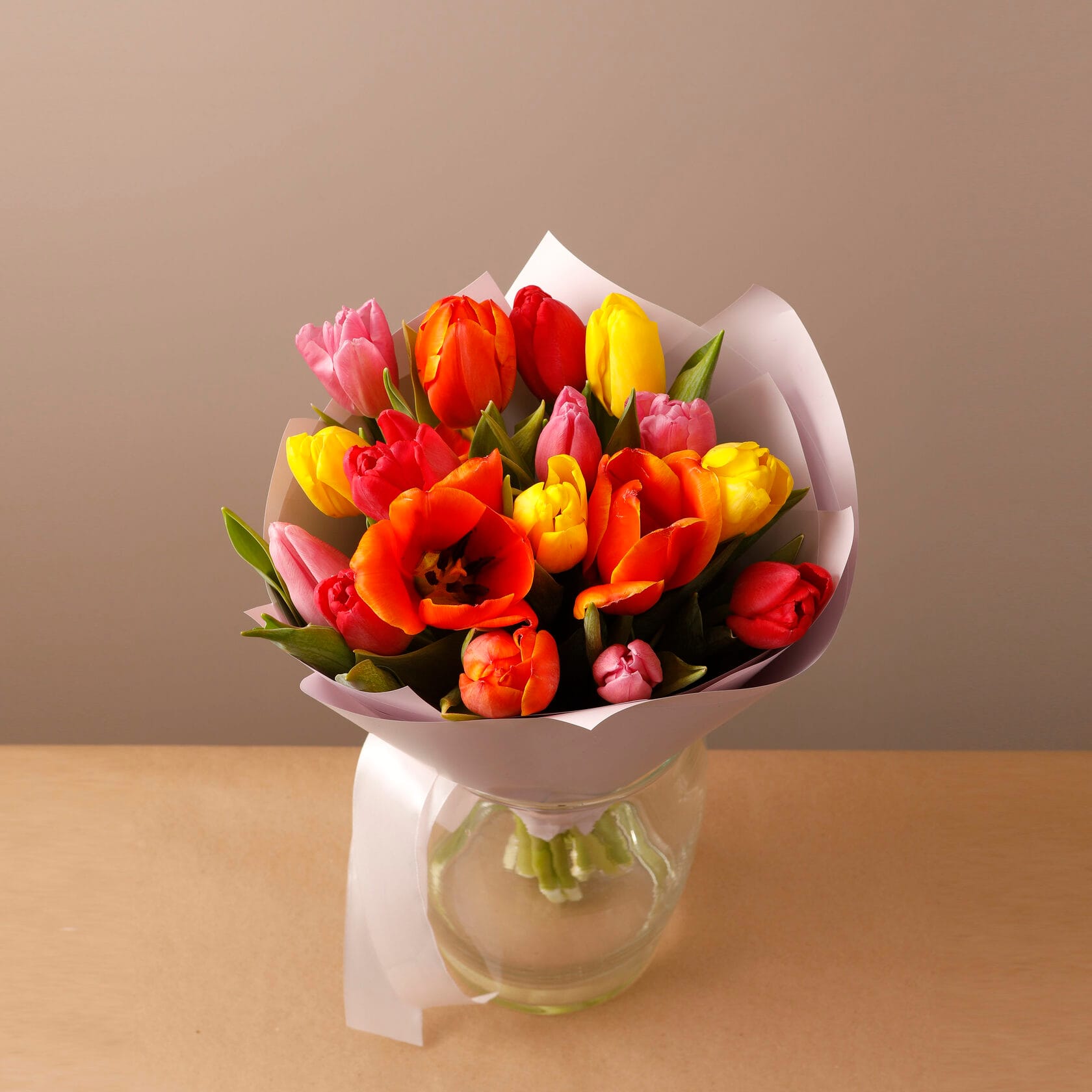 Тюльпаны: популярные сорта и расцветки