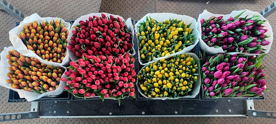 Наш склад Cash & Carry