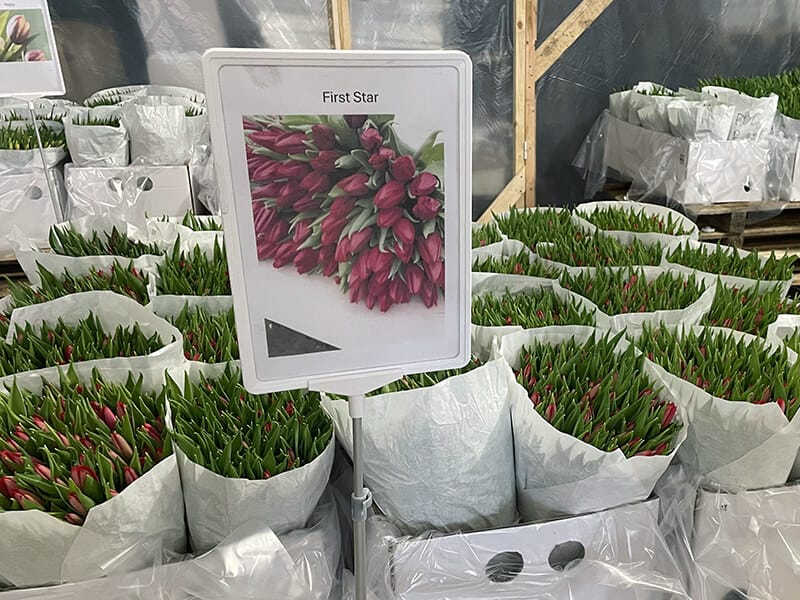 Наш склад Cash & Carry