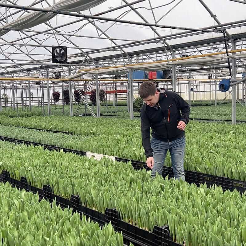 Видео компании