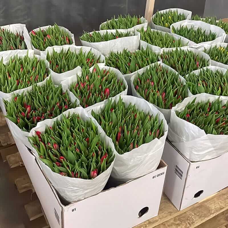 Наша компания