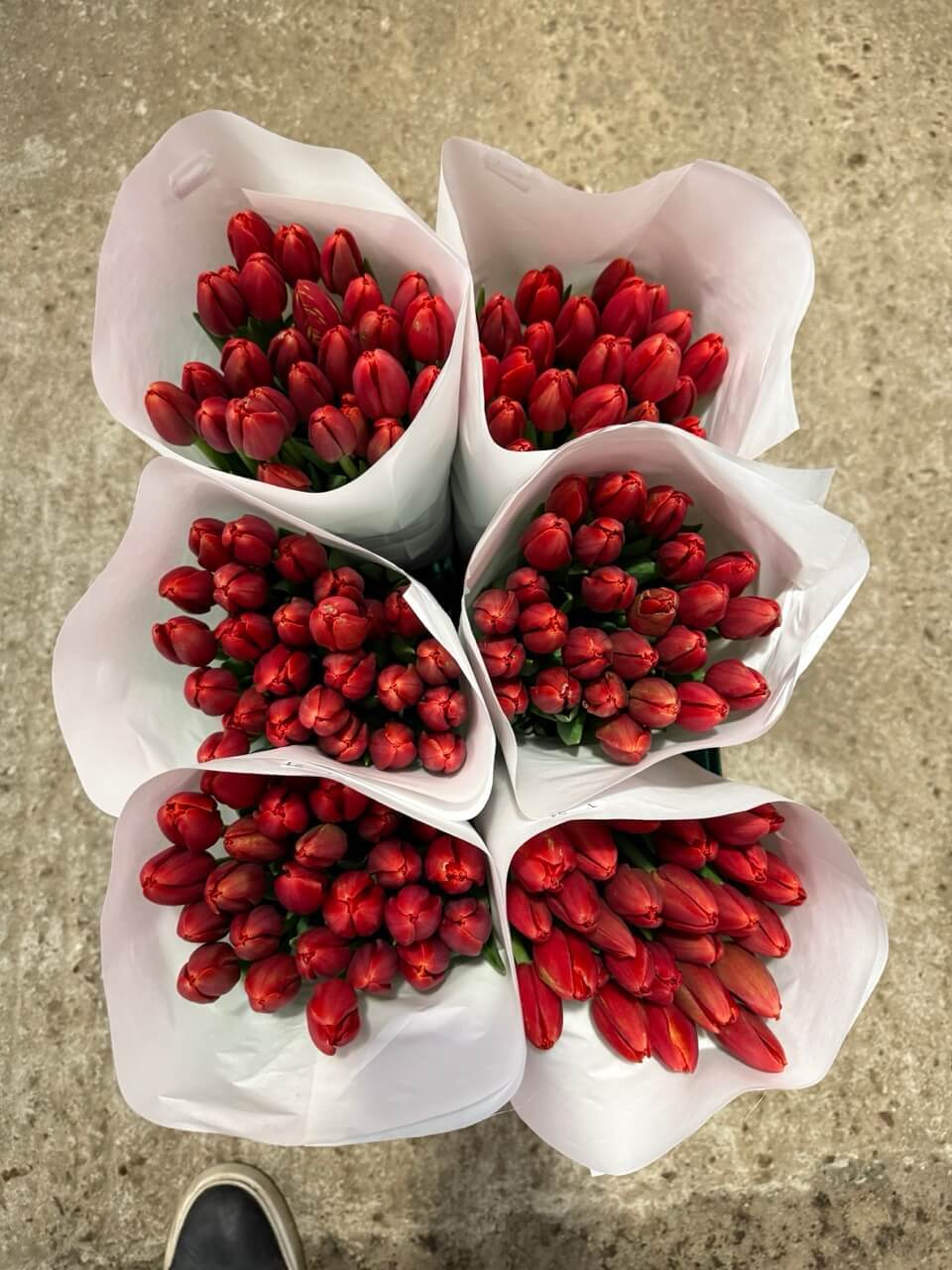 Наша компания