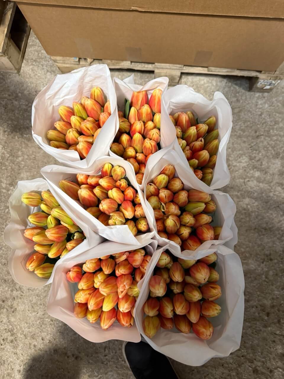 Наша компания