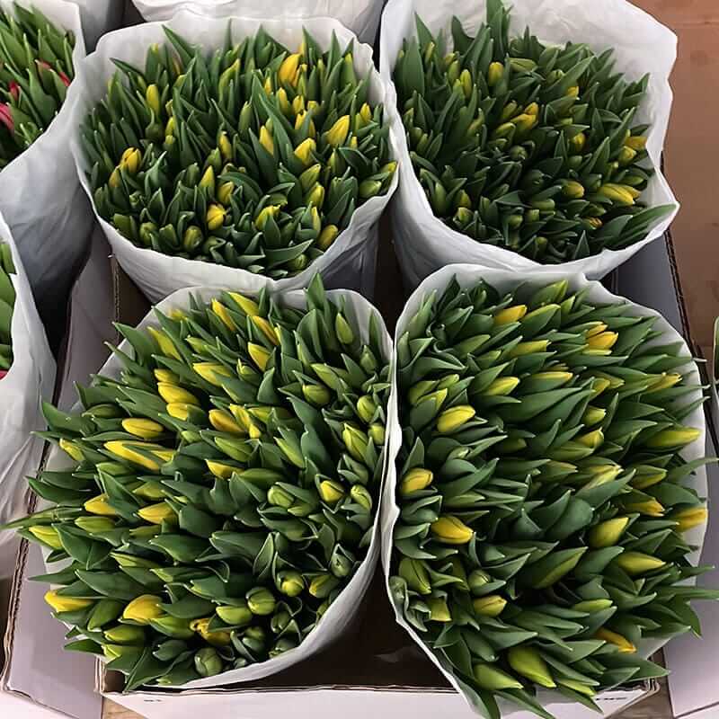 Наша компания