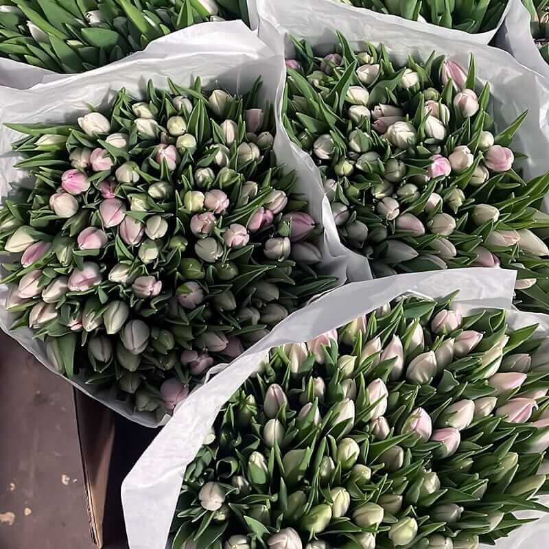 Наша компания