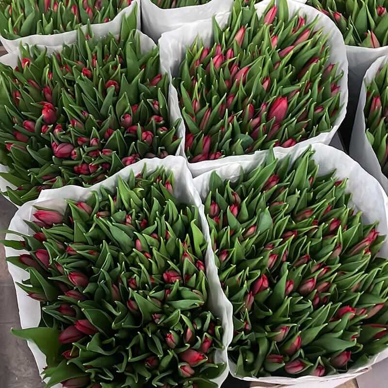 Наша компания