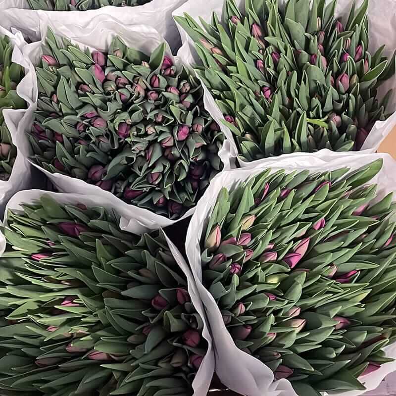 Наша компания