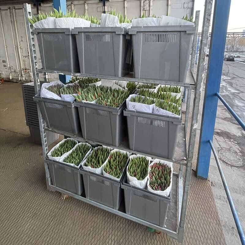 Наша компания