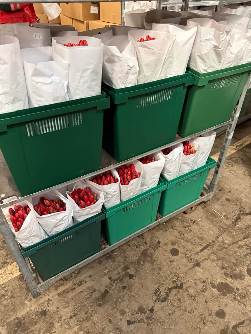 Наша компания