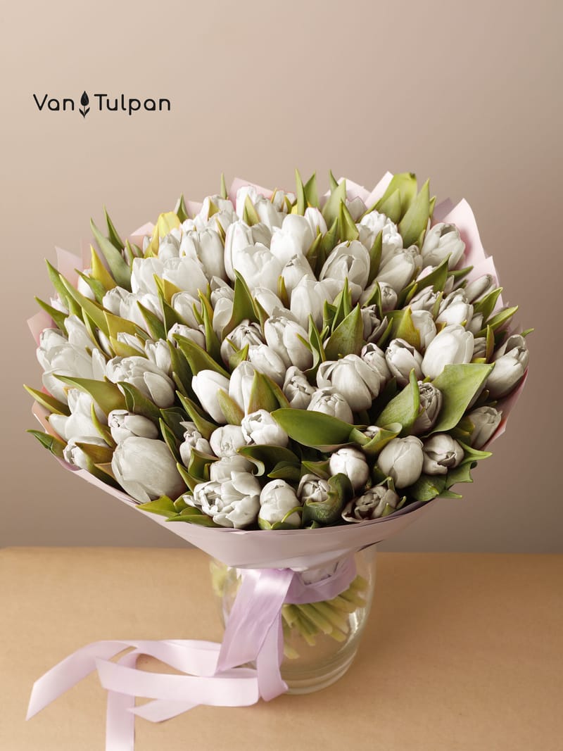 Букет из 101 белого тюльпана, пленка