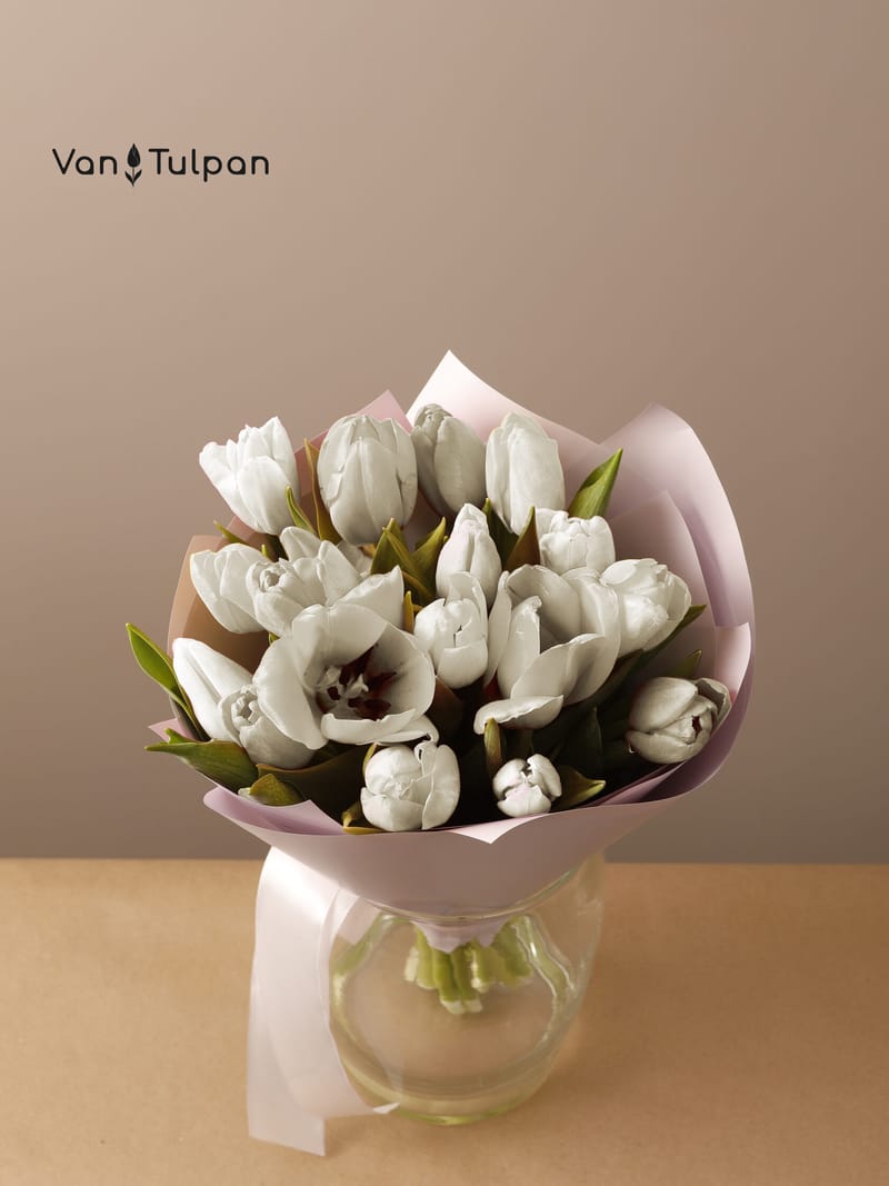 Букет из 17 белого тюльпана, пленка