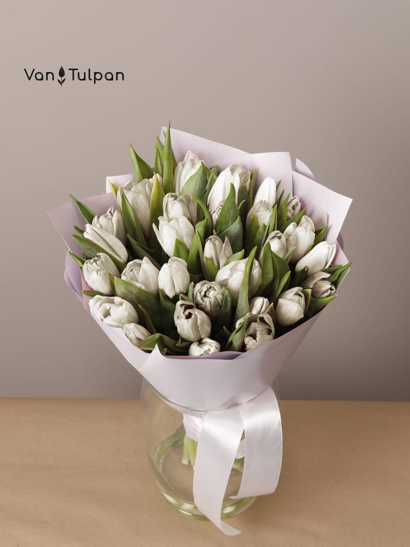 Букет из 25 белого тюльпана, пленка
