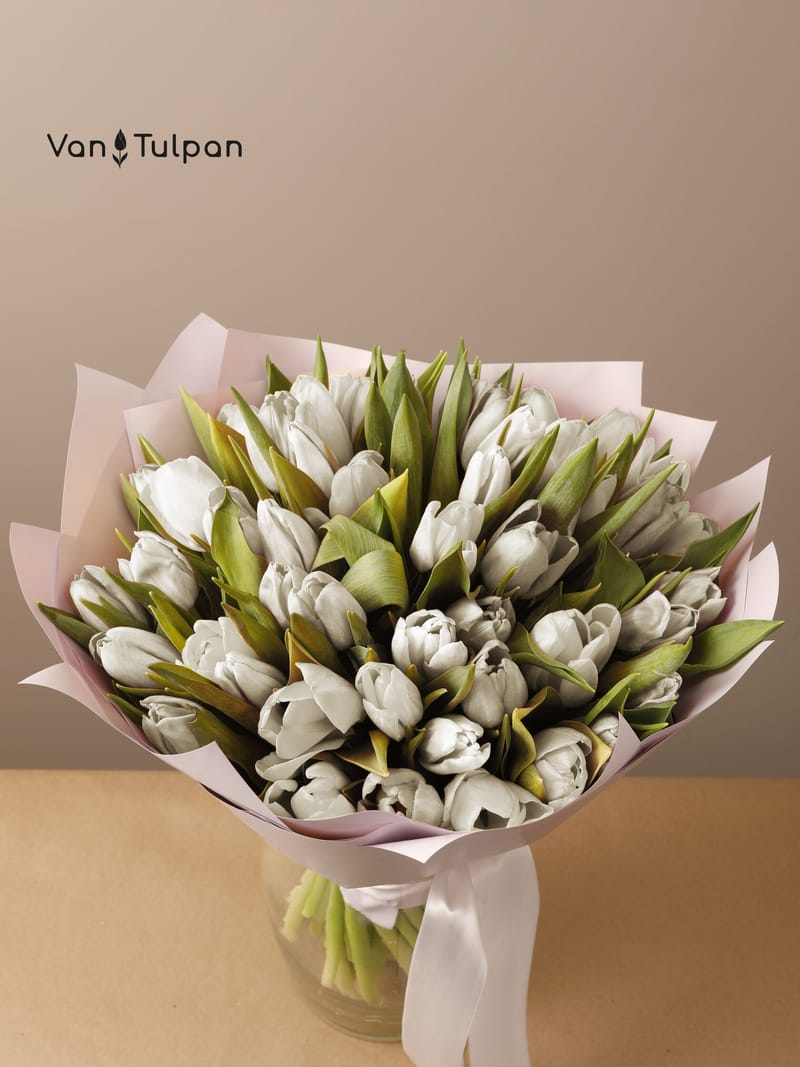 Букет из 51 белого тюльпана, пленка