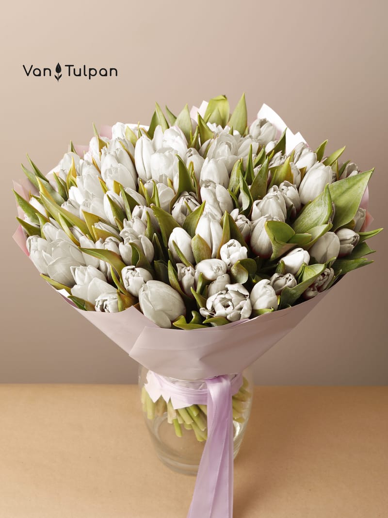 Букет из 75 белого тюльпана, пленка