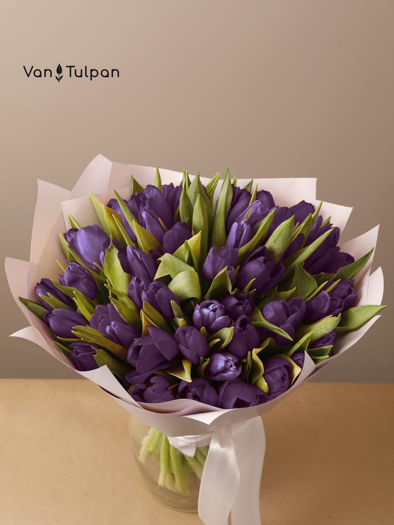 Букет из 51 фиолетового тюльпана, пленка