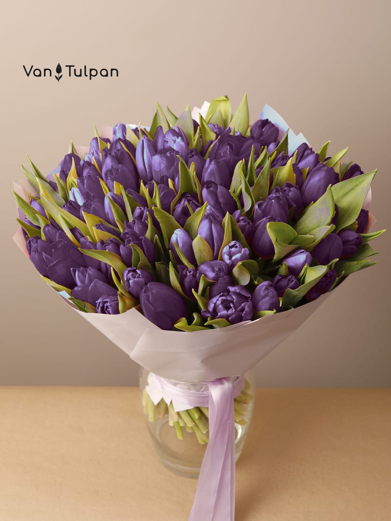 Букет из 75 фиолетового тюльпана, пленка