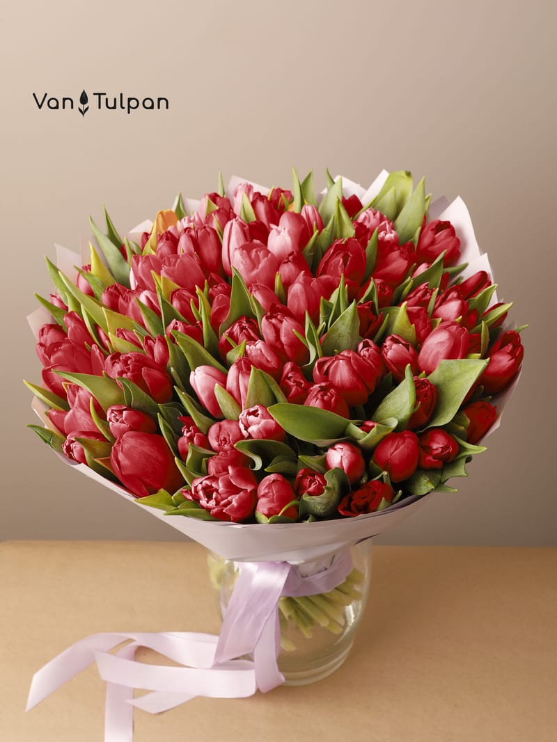 Букет из 101 красного тюльпана, пленка
