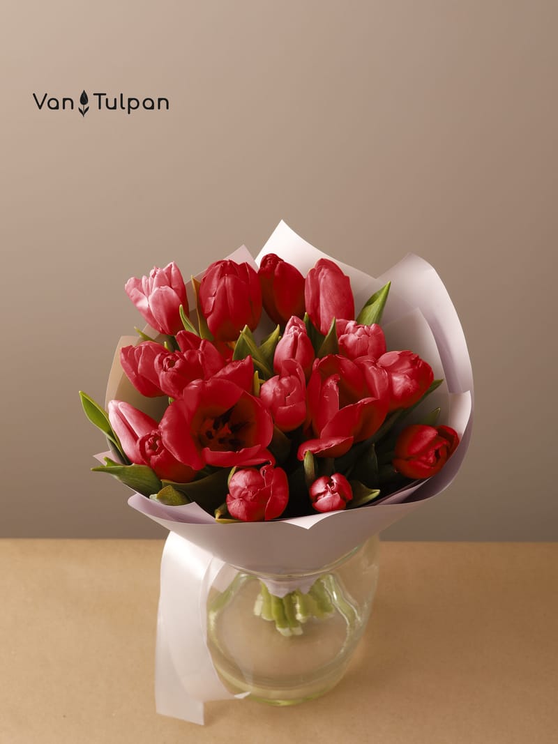 Букет из 17 красного тюльпана, пленка