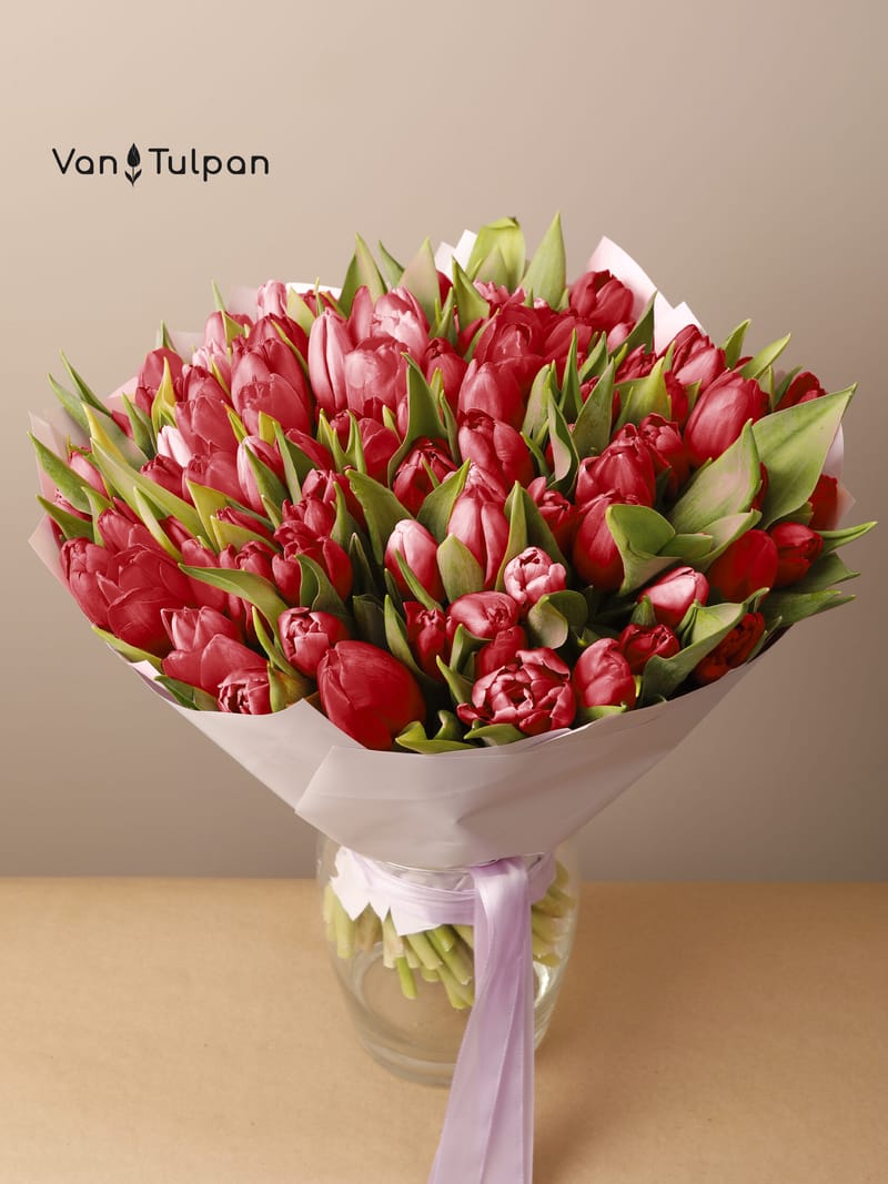 Букет из 75 красного тюльпана, пленка