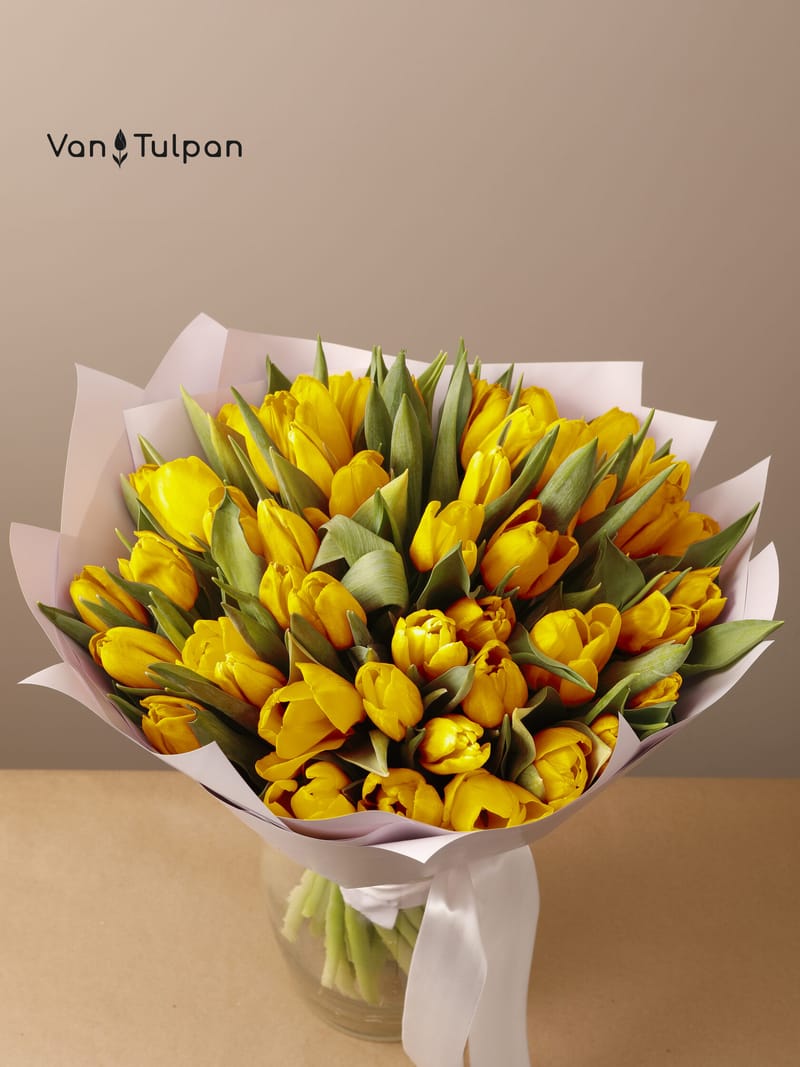 Букет из 51 желтого тюльпана, пленка