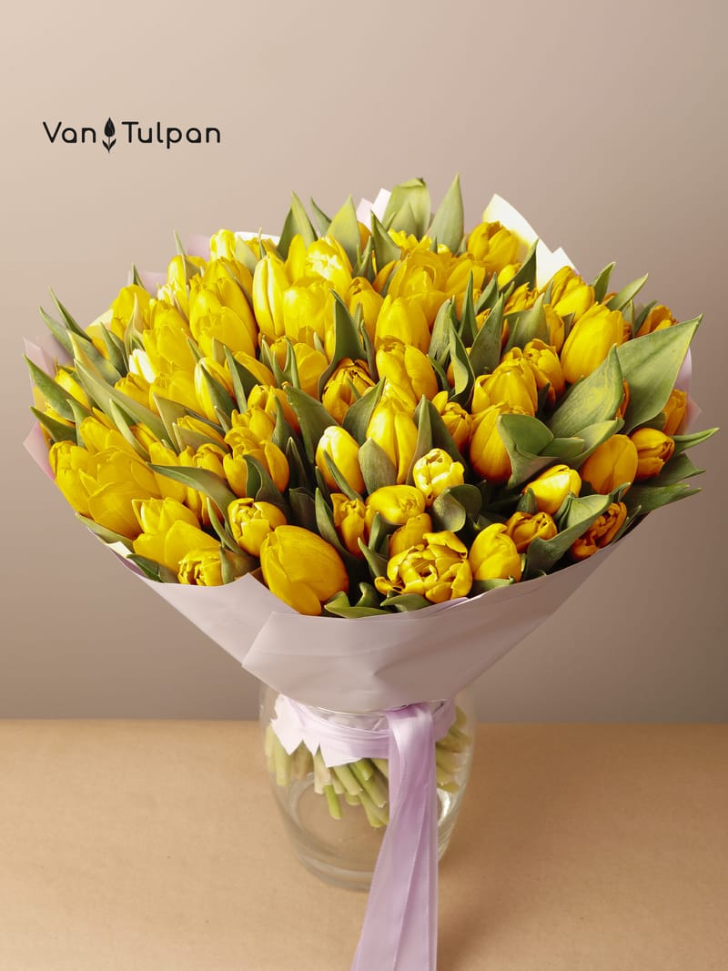 Букет из 75 желтого тюльпана, пленка